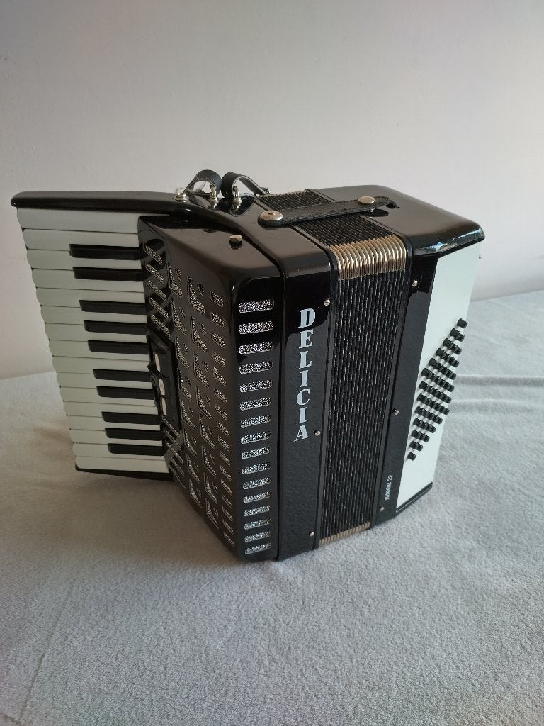 Accordeon Delica Junior 22, Muziek en Instrumenten, Accordeons, Ophalen, Met koffer, Toetsaccordeon, Delicia