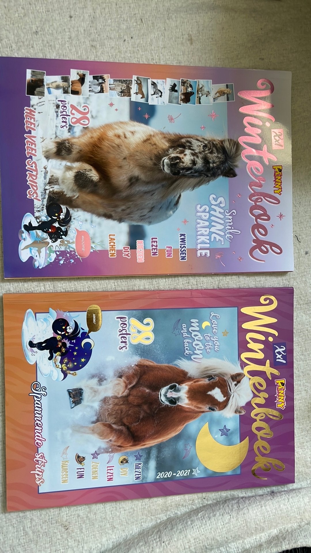 Twee winterboeken van Penny, Boeken, Stripboeken, Meerdere stripboeken, Ophalen of Verzenden, Zo goed als nieuw