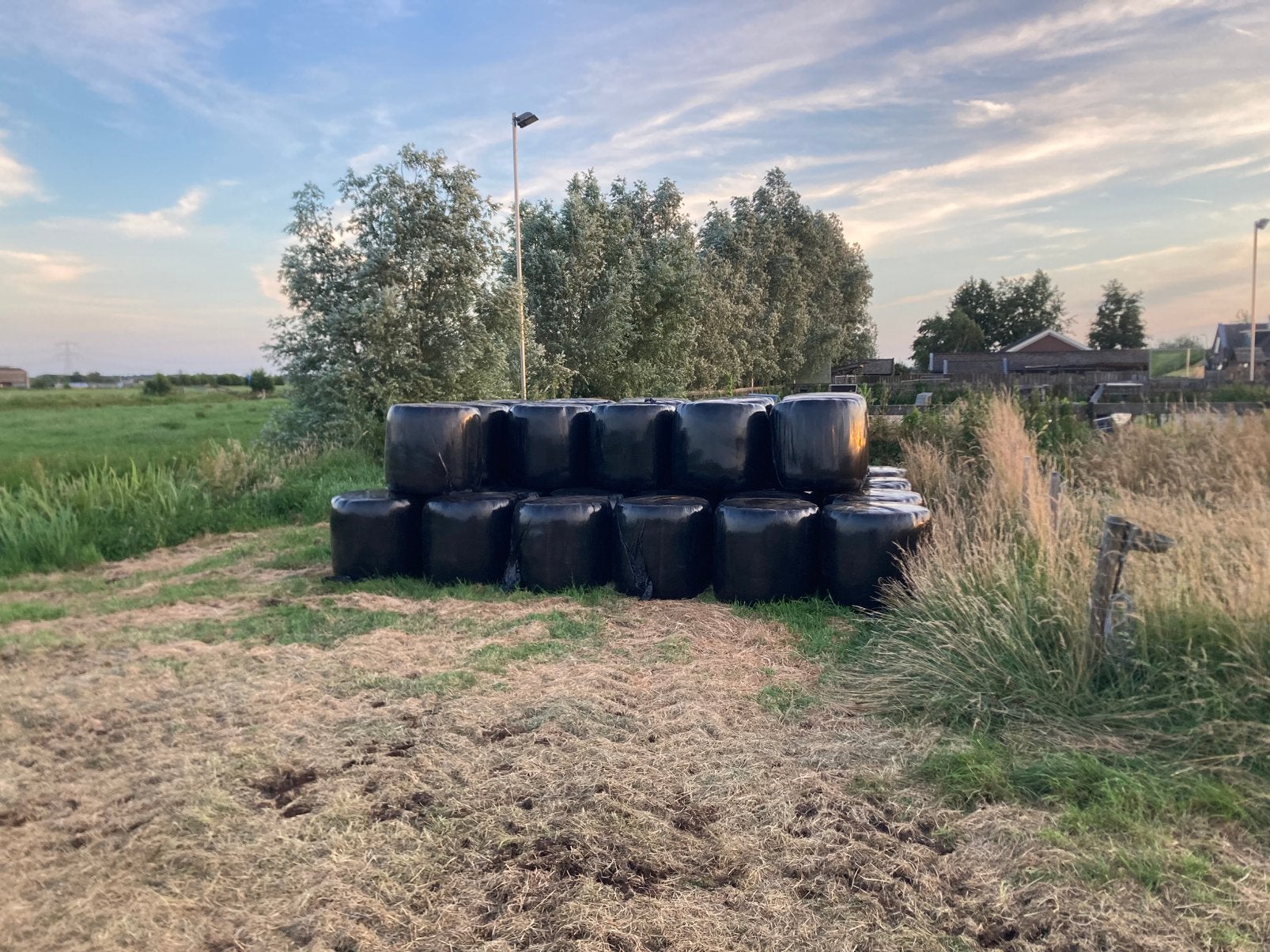 Midibalen hooi, ideaal voor paarden en ander vee., Dieren en Toebehoren, Dierenvoeding, Ophalen, Vee