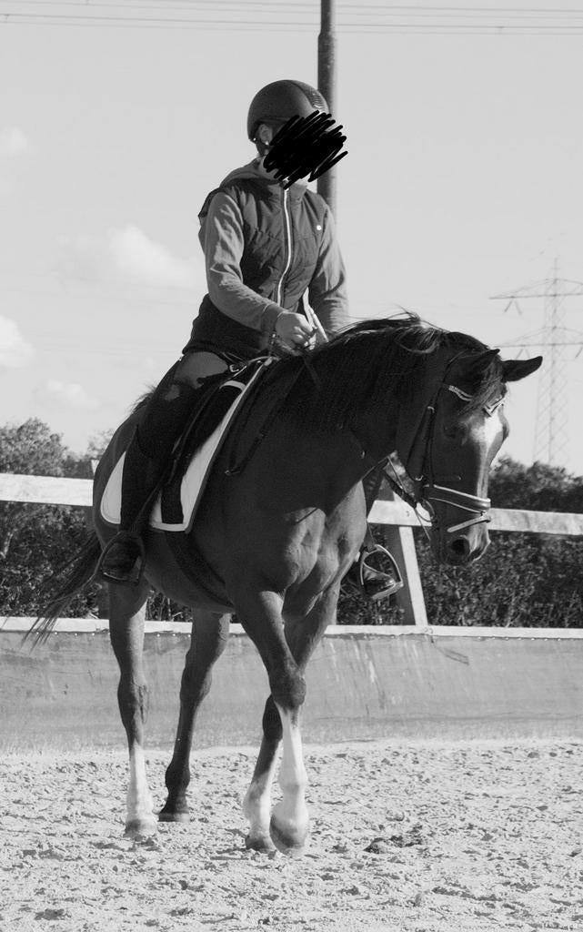 Bijrijd/lease paard gezocht, Dieren en Toebehoren, Ophalen of Verzenden