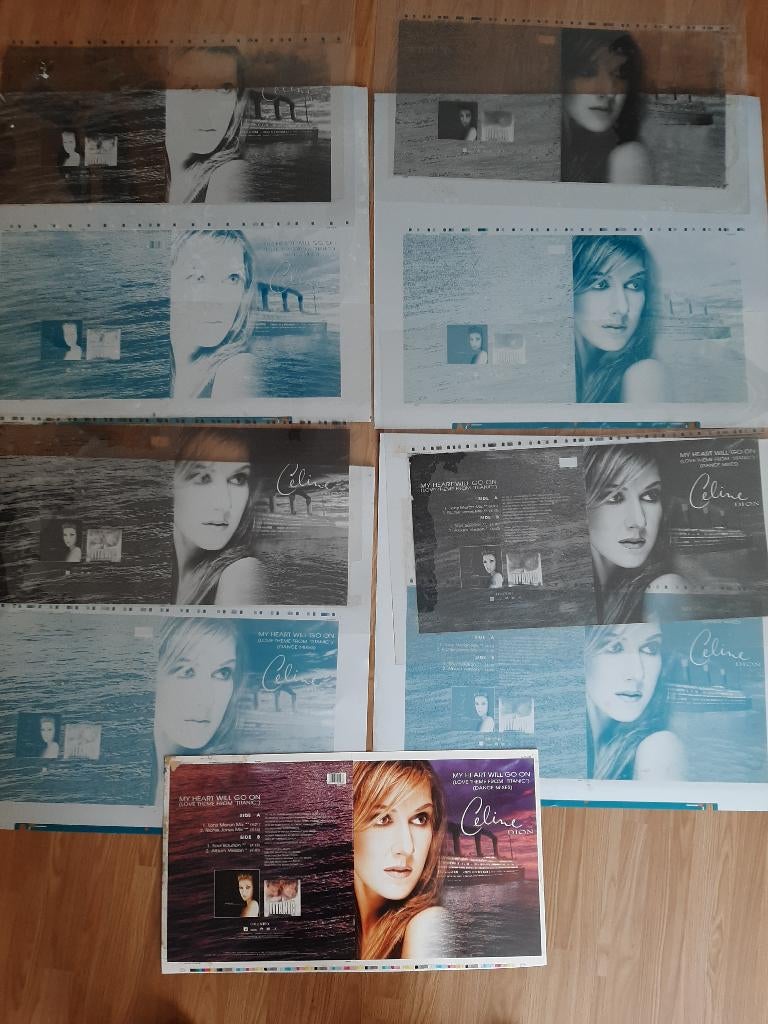 Celine Dion, My heart will go on, Collectors item, TITANIC, Ophalen, Gebruikt, Overige formaten