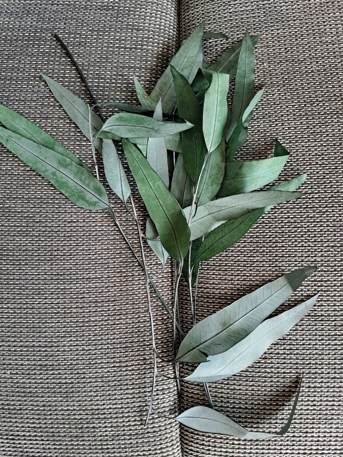 IKEA kunsttakken eucalyptus - groen, Ophalen, Binnen, Groen, Zo goed als nieuw