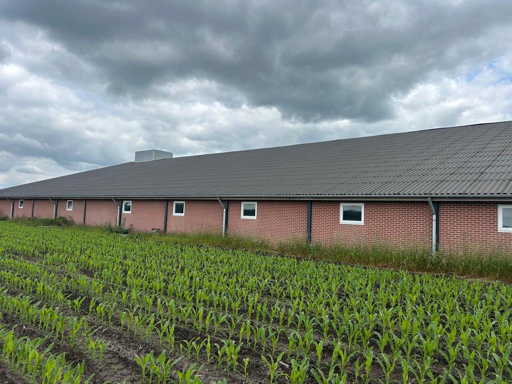 Staalconstructie plus dak en gordingen 60x40, Zakelijke goederen, Agrarisch | Agrarisch Onroerend goed, Ophalen