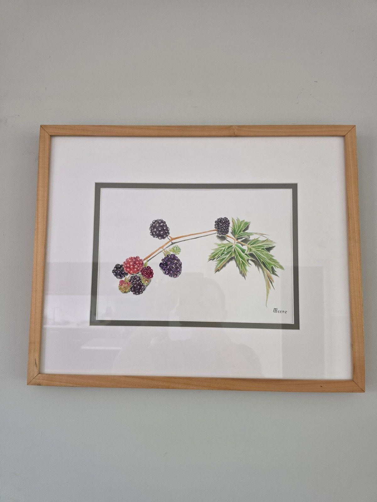 Ingelijste tekening van bramen door Marlies Heere Gesigneerd, Ophalen