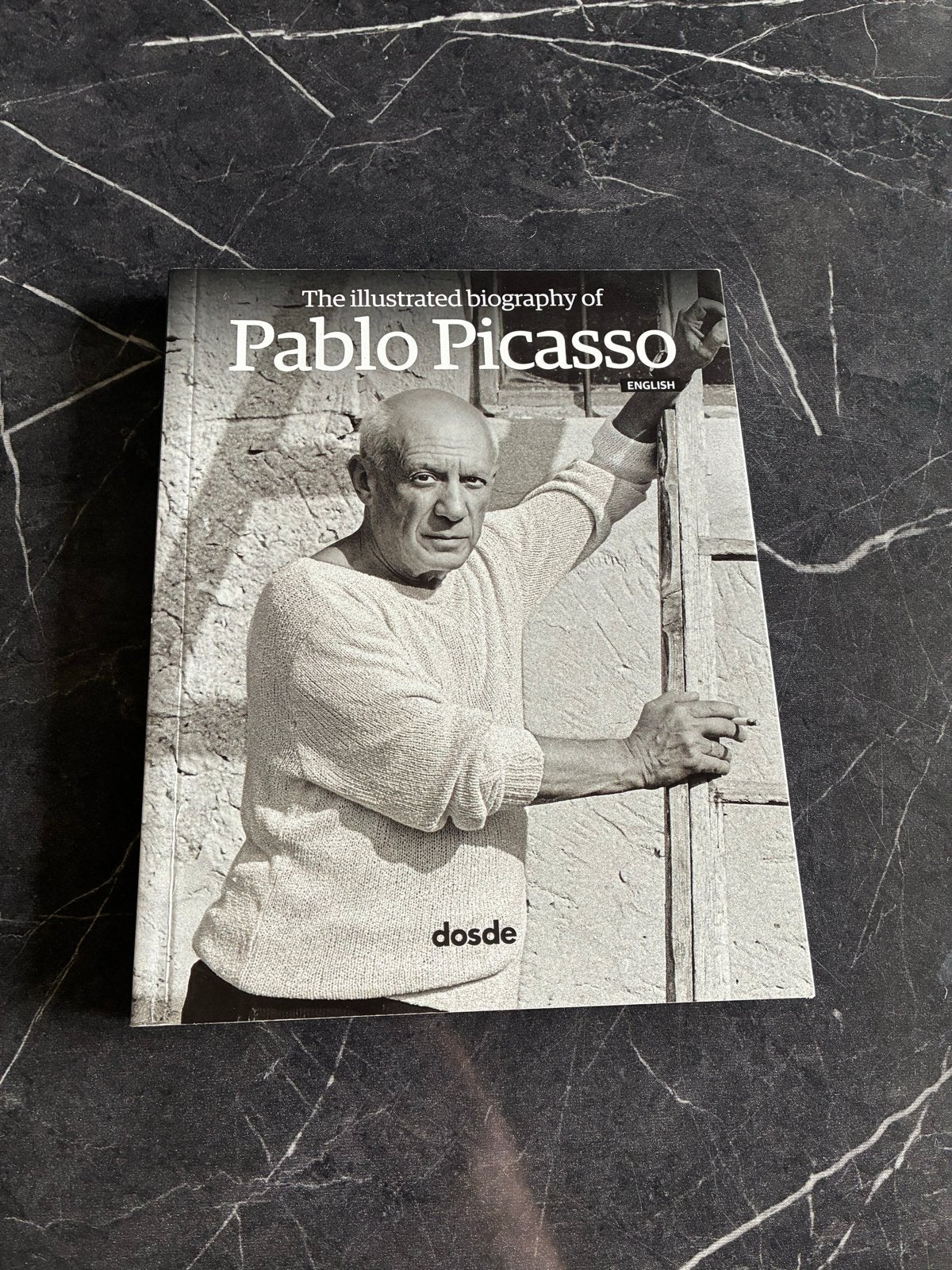 Geïllustreerde biografie van Pablo Picasso, Ophalen of Verzenden, Zo goed als nieuw, Kunst en Cultuur