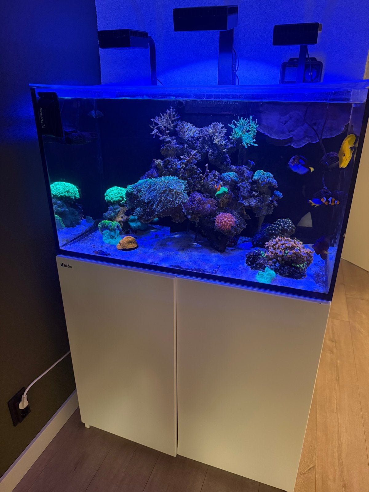 Red Sea Reefer 250 – Compleet geautomatiseerd zeeaquarium, Dieren en Toebehoren, Vissen | Aquaria en Toebehoren, Ophalen, Zo goed als nieuw