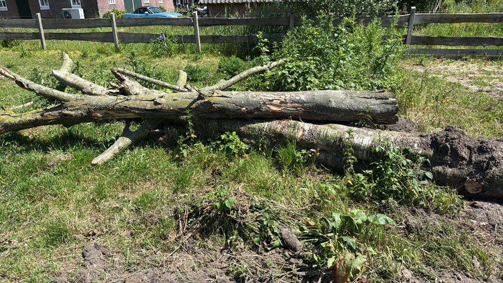 Brandhout, Tuin en Terras, Haardhout, Minder dan 3 m³, Ophalen