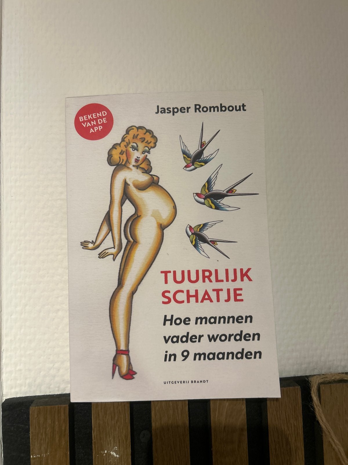 Tuurlijk Schatje: Hoe mannen vader worden in 9 maanden, Boeken, Ophalen of Verzenden, Nieuw, Zwangerschap en Bevalling