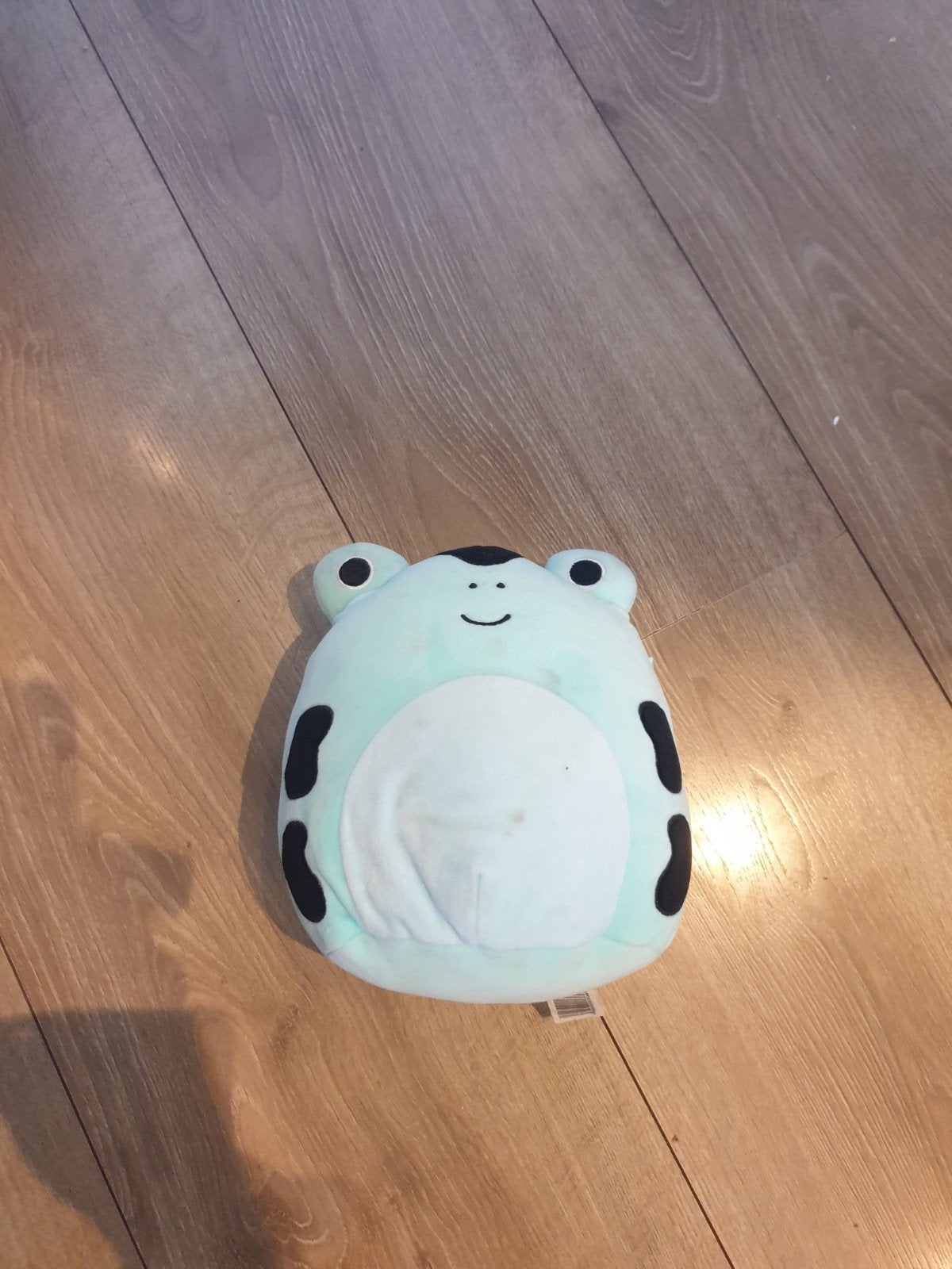 Squishmallow Kikker Knuffel, Kikker, Groen, Ophalen of Verzenden, Middelgroot (20 tot 80 cm)