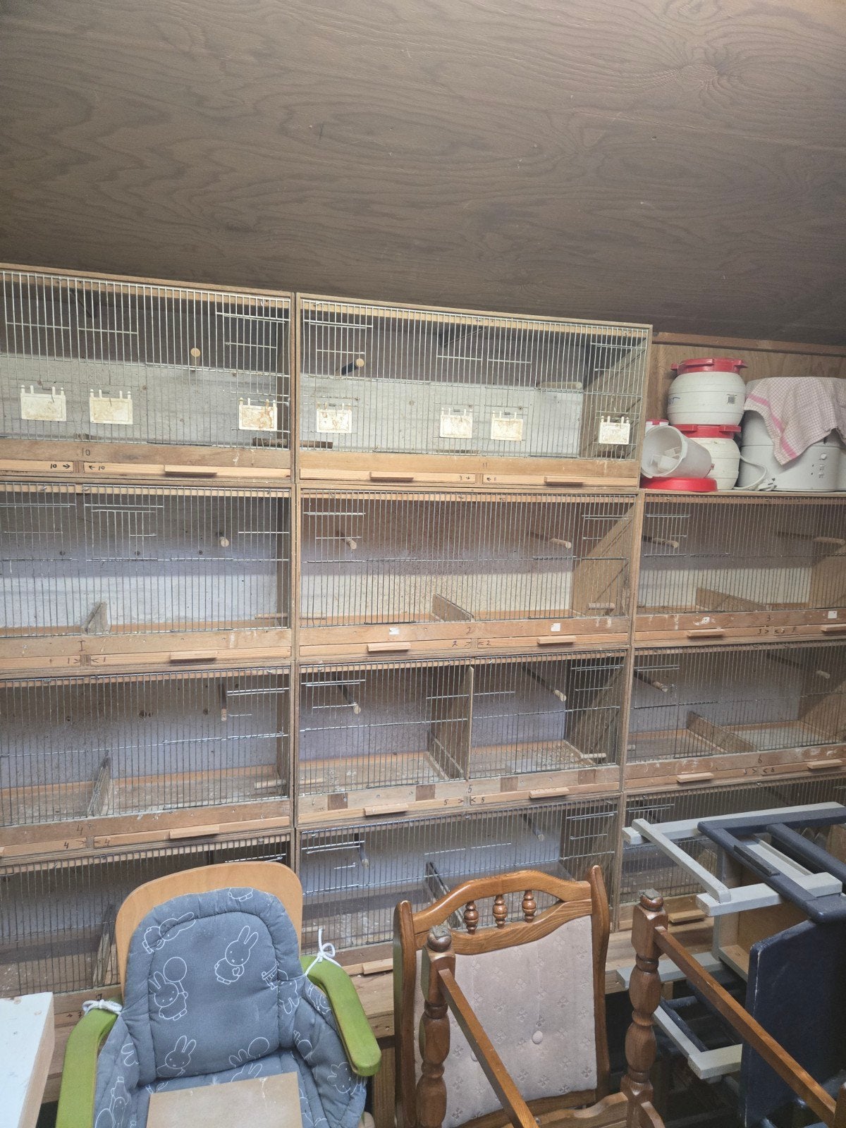 Broedkooien met extra's, Ophalen, Gebruikt, Overige materialen, Broedkooi of Kweekkooi