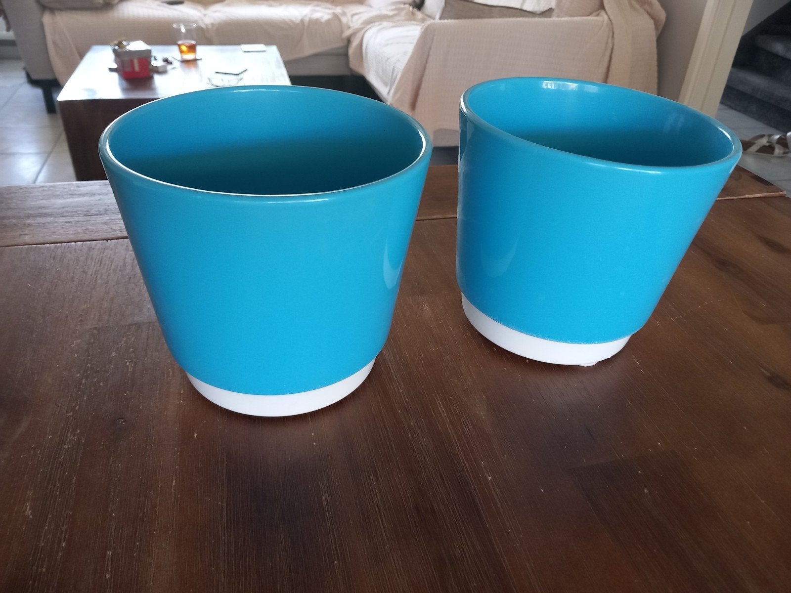 2 blauwe bloempotten ,5 euro, Ophalen, Halfschaduw, Minder dan 100 cm