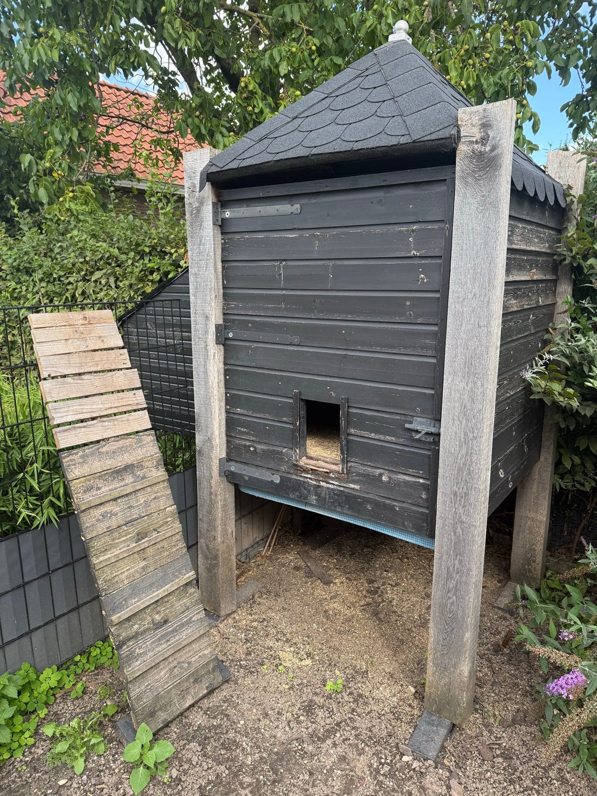 Groot kippenhok met legbak, Ophalen, Gebruikt, Hout, Overige typen