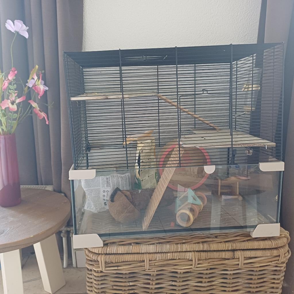 Knaagdier kooi, Dieren en Toebehoren, Kooi, Gebruikt, Muis, 75 tot 110 cm