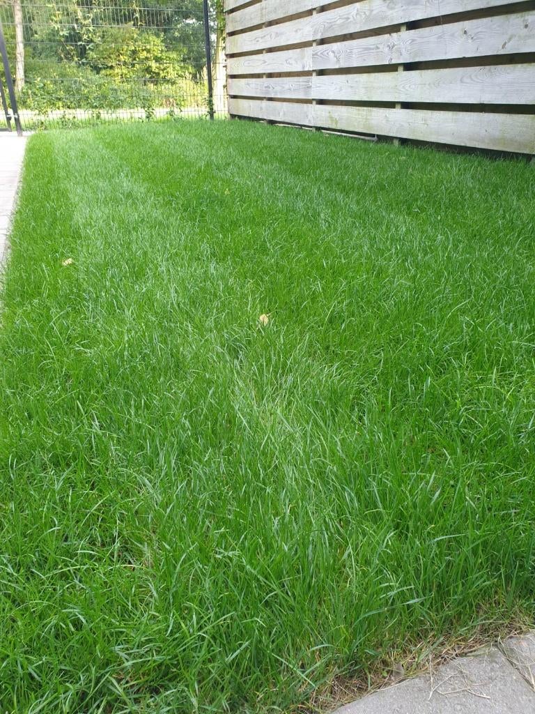Verse Graszoden vrijdag of zaterdag as af te halen