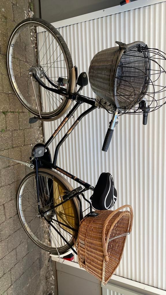 Batavus damesfiets met 2 honden manden, Fietsen en Brommers, Fietsen | Cruisers en Lowriders, Staal, Overige typen, Ophalen of Verzenden