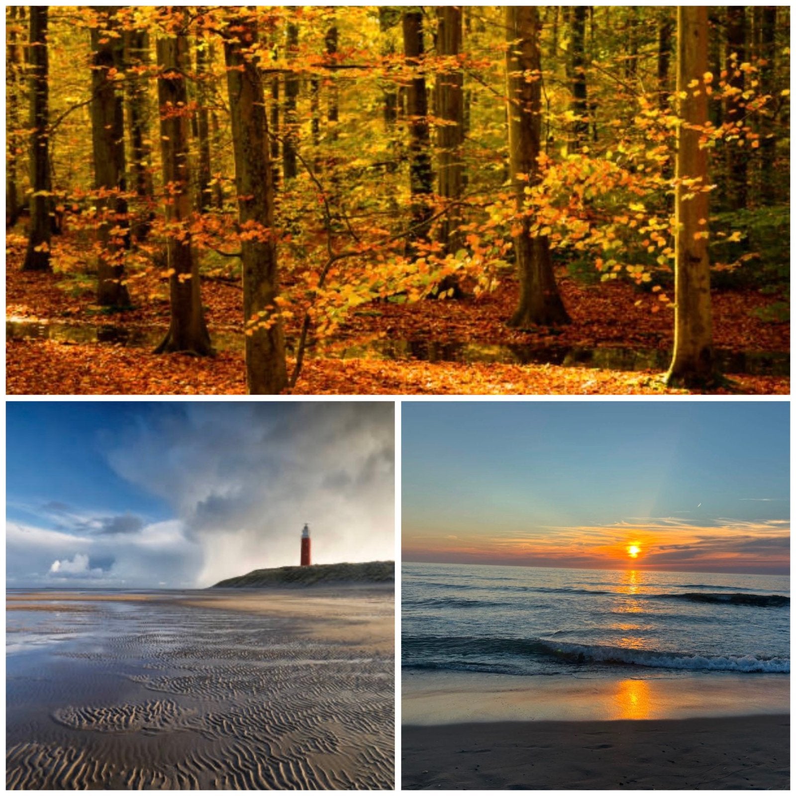 In de herfstvakantie of het laagseizoen naar Texel?, Vakantie