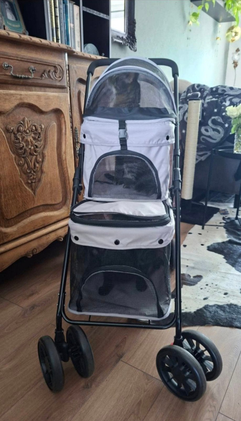 Dierenbuggy (kleine honden of katten), Ophalen