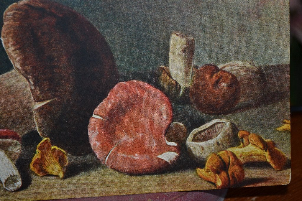 frankrijk1908 stilleven champigons paddenstoelen zwam, Ophalen of Verzenden, Ongelopen, Sterren en Beroemdheden