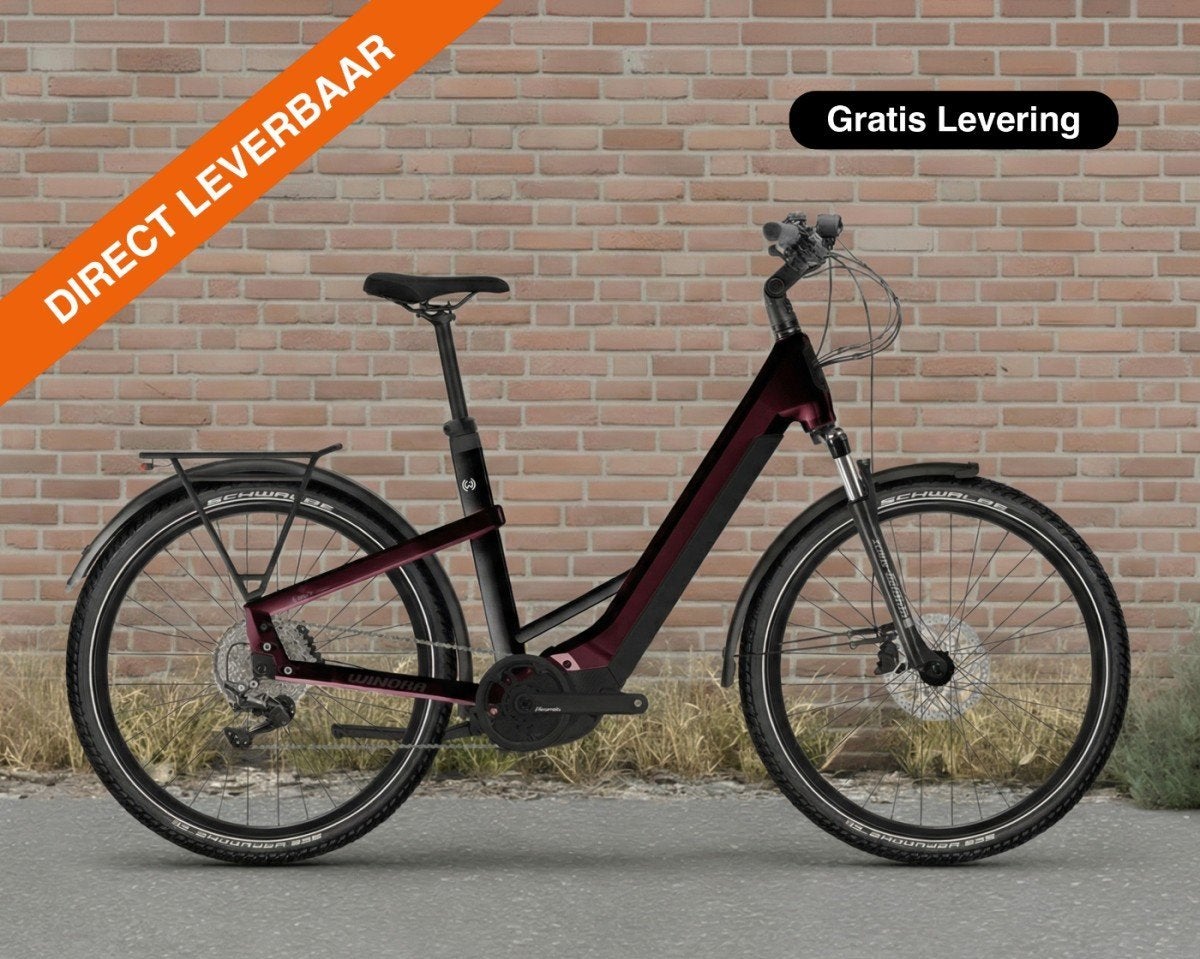 Winora Yakun X10E, 625 Wh Dames Adviesprijs: € 3699, Fietsen en Brommers, Elektrische fietsen, -, -, Nieuw, -