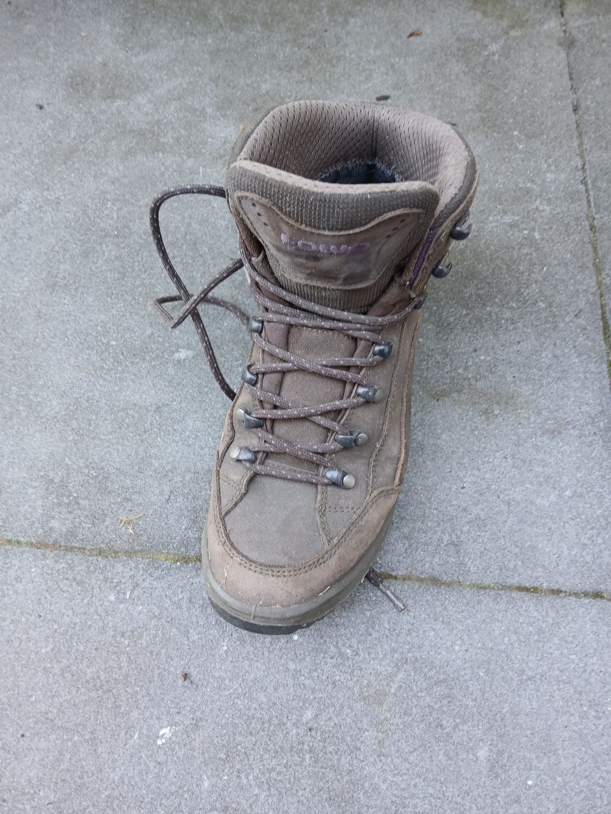 Lowa Gore-Tex wandelschoenen - Maat 39.5, Ophalen, Gebruikt, Schoenen