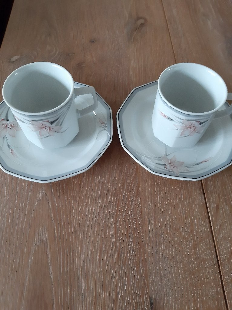 Twee nieuwe kop en schotels, Nieuw, Ophalen of Verzenden, Overige stijlen, Kop(pen) en/of Schotel(s)