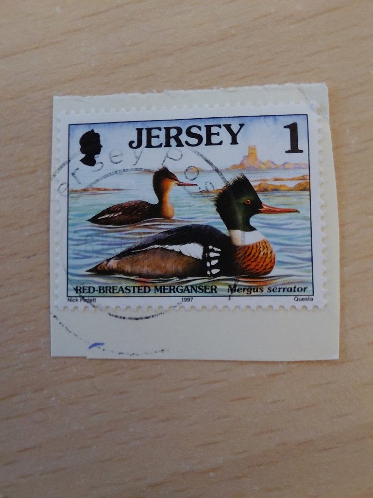 Jersey eenden, zaagbek, Verzenden, Overige landen, Gestempeld