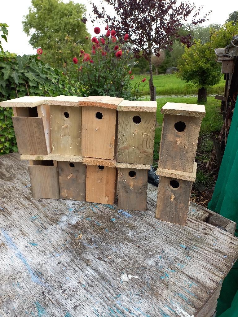 vogelhuisjes voor 5 verschillende vogels, Ophalen of Verzenden, Nieuw