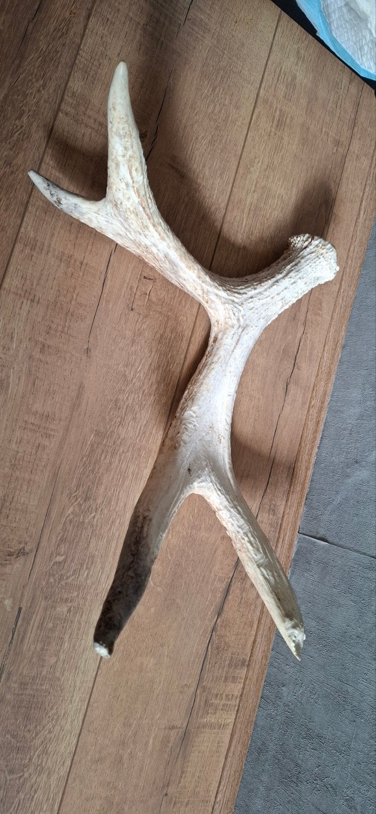 Afwerpstang, Ophalen