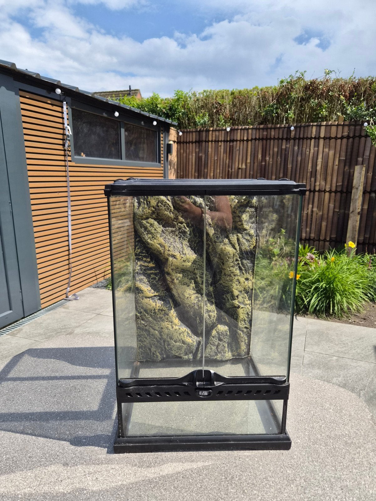 Klein exoterra terrarium te koop 30x30x46 evt toebehoren, Dieren en Toebehoren, Ophalen, Gebruikt, Terrarium of Paludarium