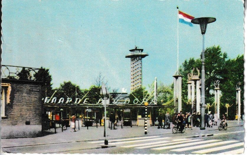 ROTTERDAM - DIERGAARDE BLIJDORP, Verzamelen, Ansichtkaarten | Nederland, Gelopen, Zuid-Holland, 1940 tot 1960, Ophalen of Verzenden