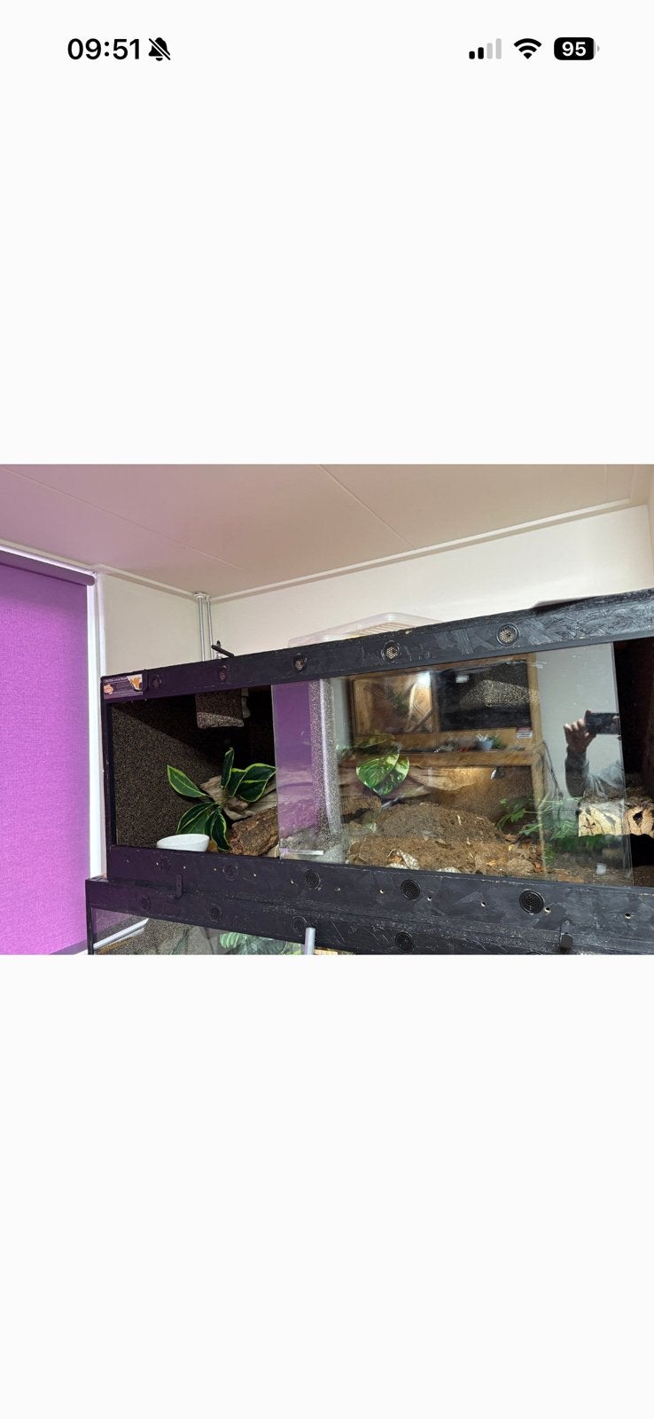 OSB terrarium 140x70x60., Dieren en Toebehoren, Reptielen en Amfibieën | Toebehoren, Ophalen, Gebruikt, Terrarium of Paludarium