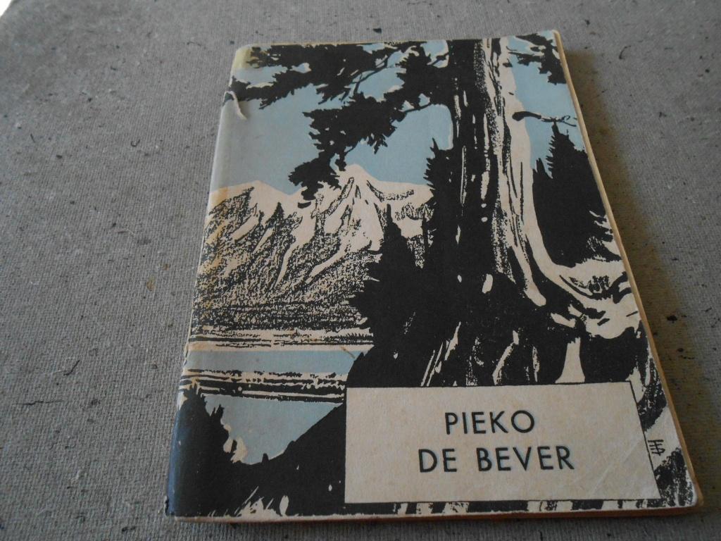 PIEKO  DE  BEVER  /  PIONIEREN, Ophalen of Verzenden, Gebruikt, Boek of Tijdschrift