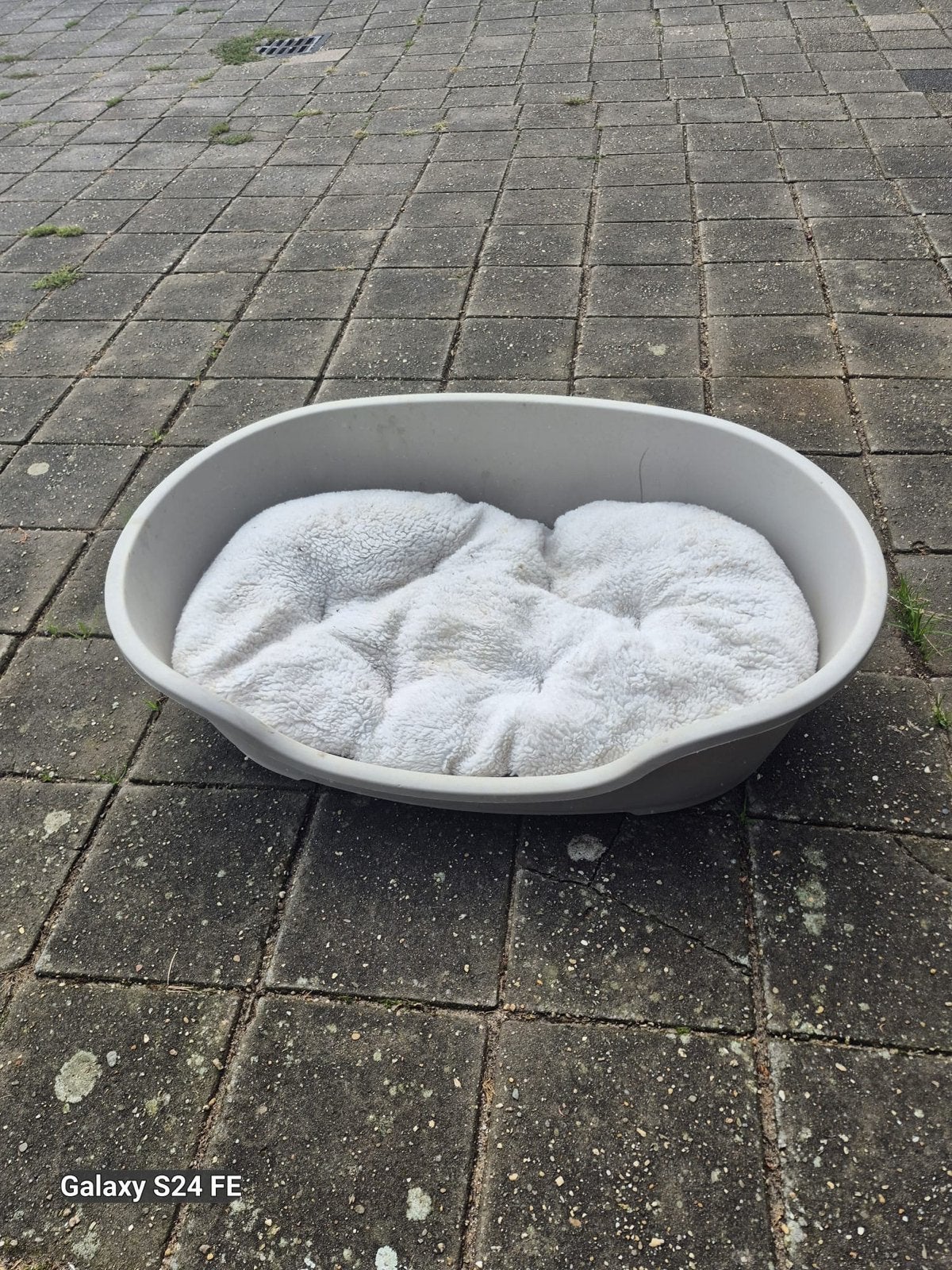 Hondenmand met kussen, Ophalen, Gebruikt