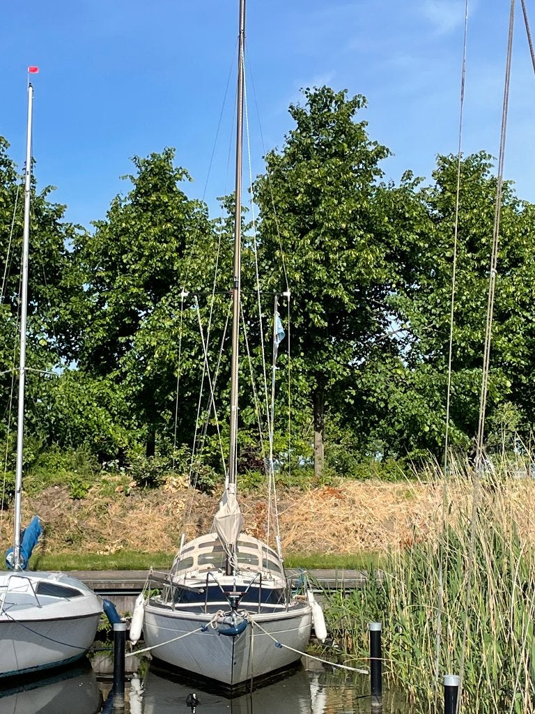 Dehler Sprinta 70, Ophalen, Gebruikt, Dehler, 1.50 - 1.70 meter