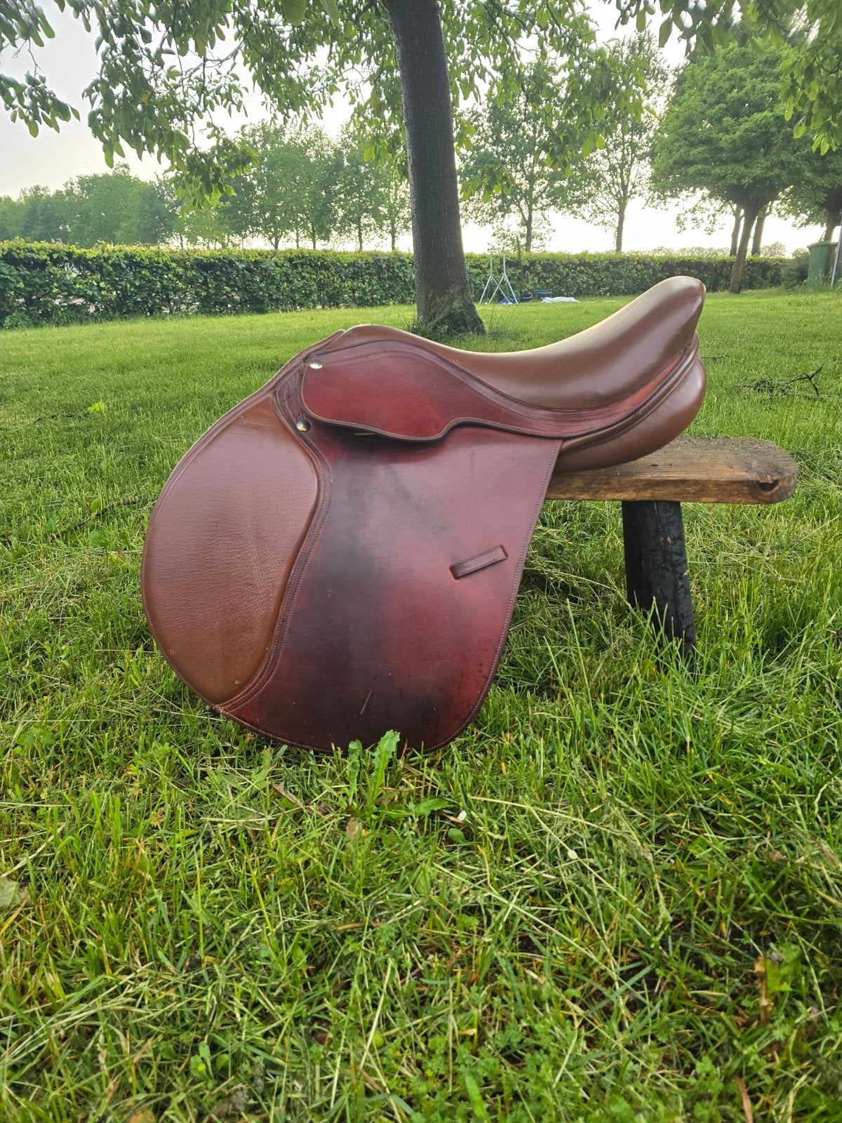 Bruin springzadel 16,5/17 inch verwisselbare boom, Dieren en Toebehoren, Paarden en Pony's | Zadels, Ophalen, Gebruikt, Springen