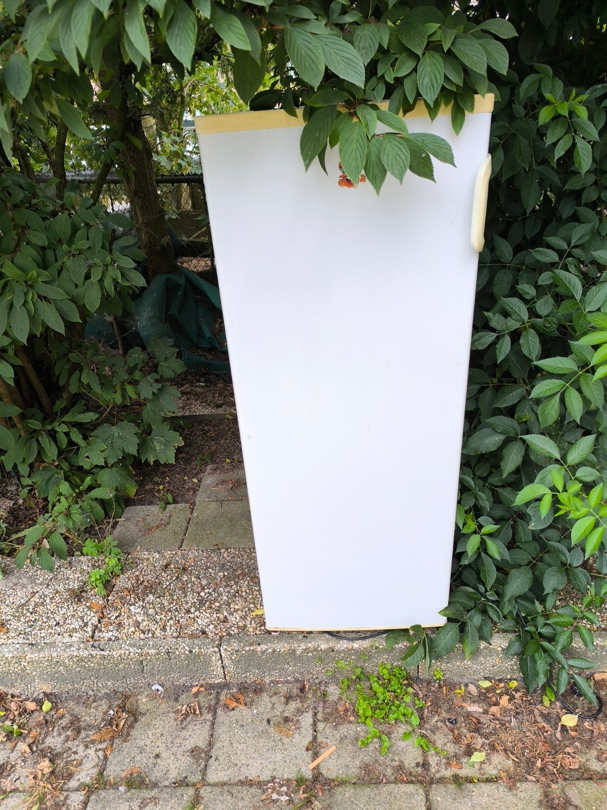 Koelkast DEFECT, Ophalen, 120 tot 140 cm, Minder dan 75 liter, 45 tot 60 cm