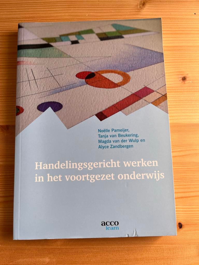 Handelingsgericht werken in het voortgezet onderwijs, Ophalen of Verzenden, Gamma, Zo goed als nieuw, HBO