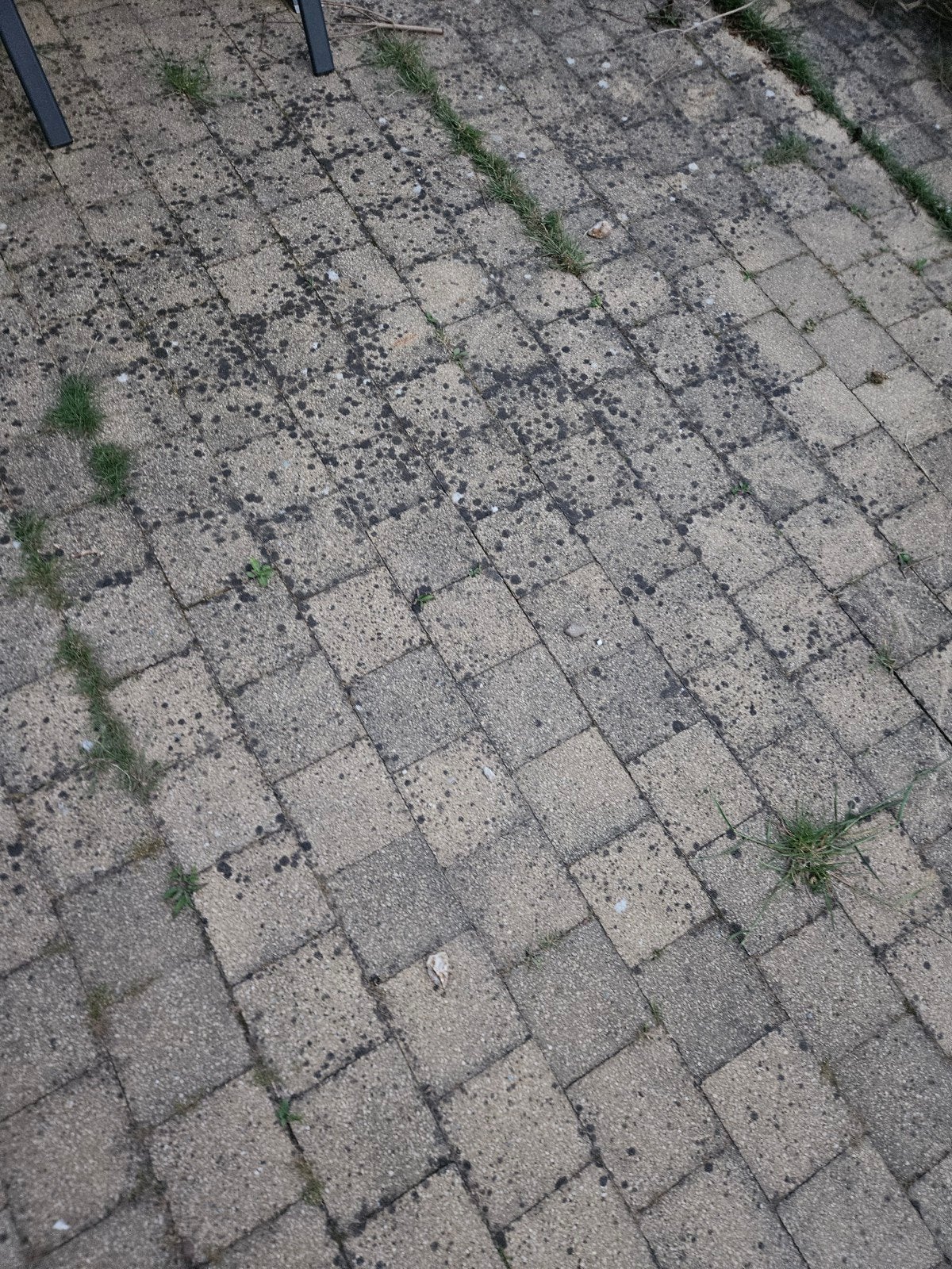 klinkers, Tuin en Terras, Tegels en Klinkers, Gebruikt, Klinkers, Ophalen of Verzenden, 10 m² of meer