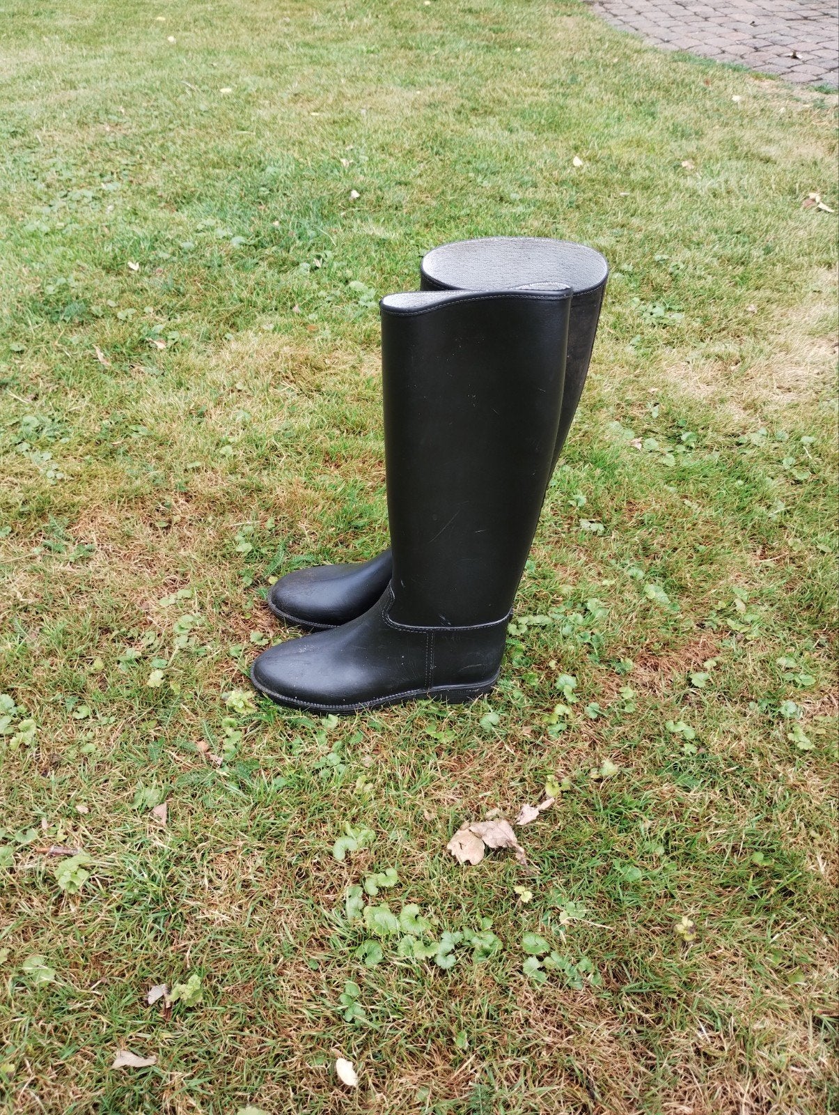 paardrijlaarzen - harry's horse - maat 36, Dieren en Toebehoren, Gebruikt, Kinderen, Ophalen of Verzenden, Zwart