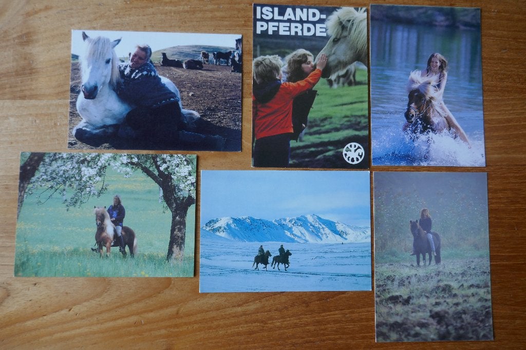 6x ansicht IJsland pony, Ophalen of Verzenden, 1980 tot heden, Paard