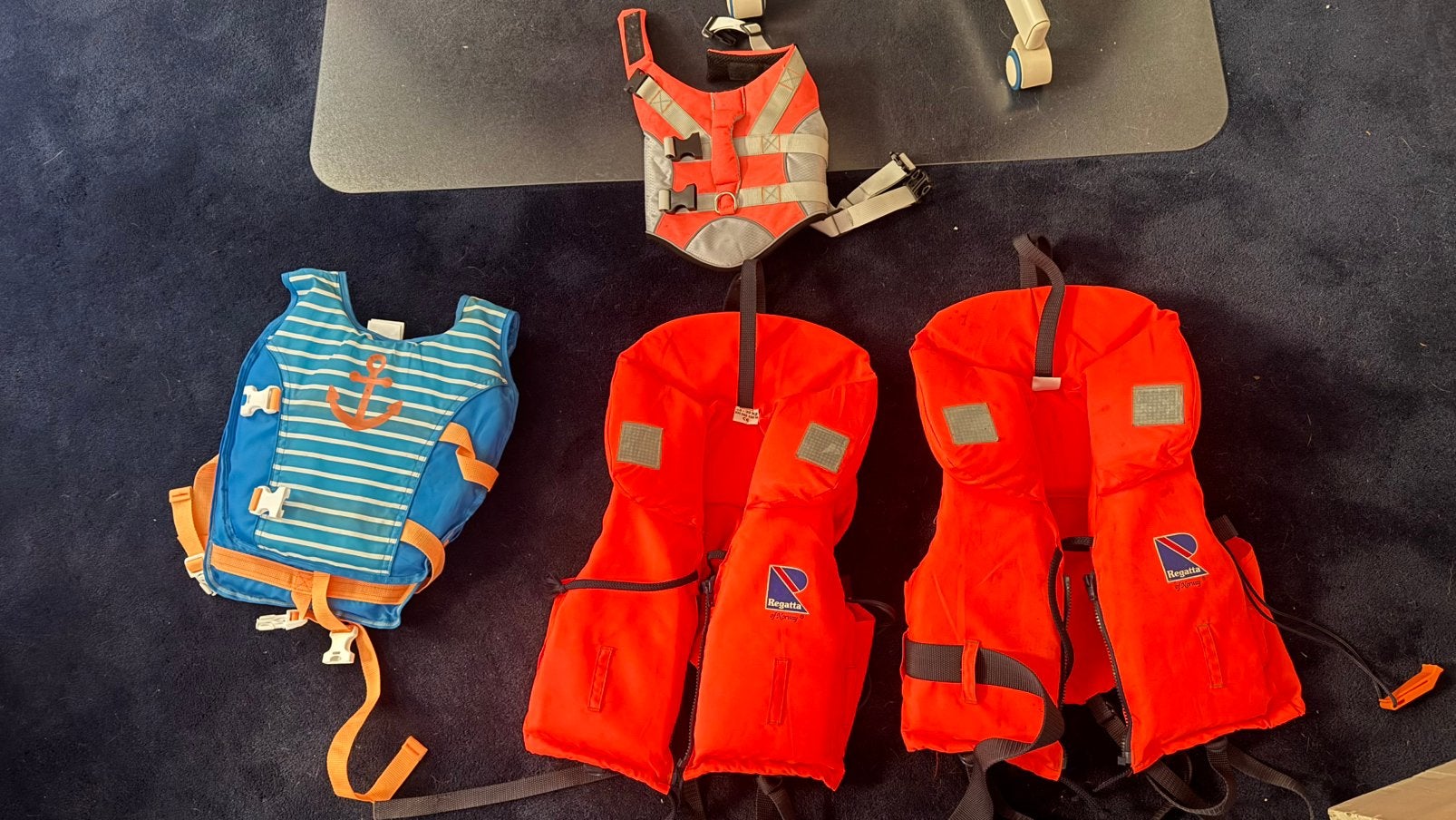 Zwemvesten baby, kinderen & teckel – zeer nette staat, Watersport en Boten, Ophalen of Verzenden, Zo goed als nieuw, Motor en Techniek