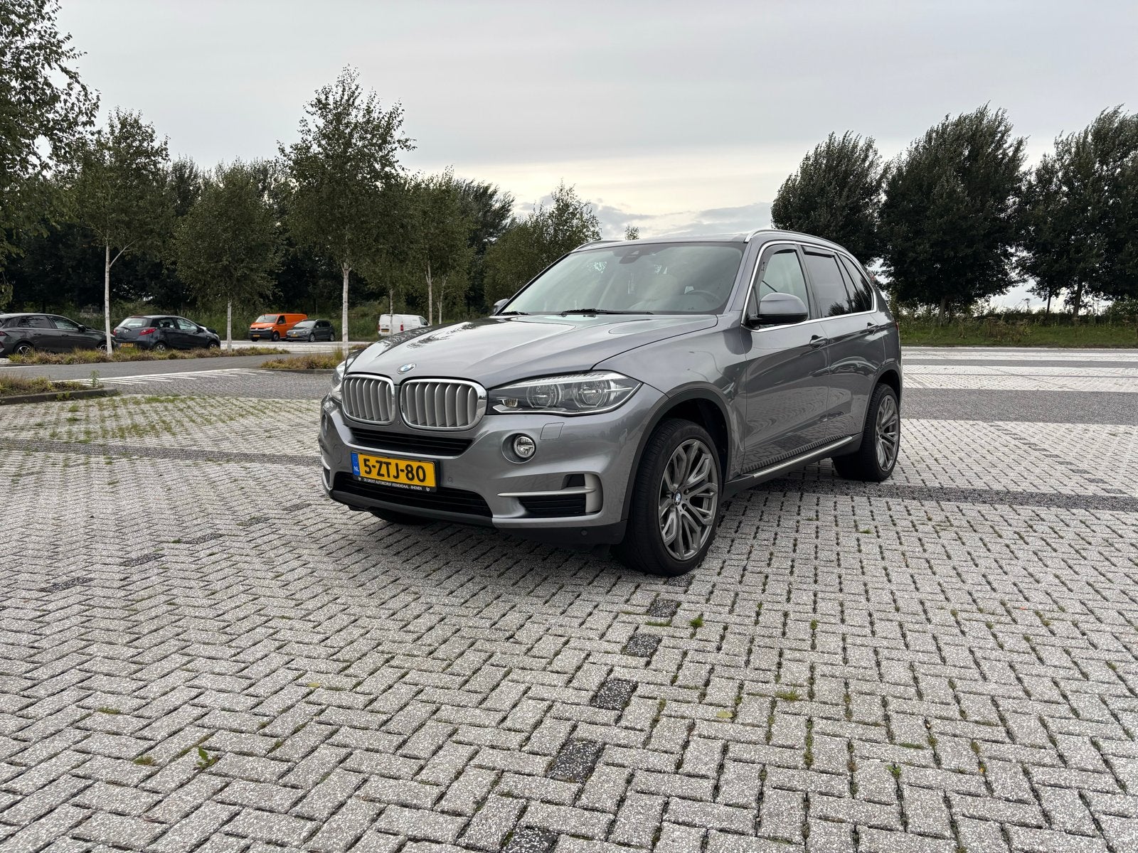 BMW X5 Xdrive 30D Aut8 (2014) 2014 Grijs, Parkeerassistent, X5, 2993 cc, Leder