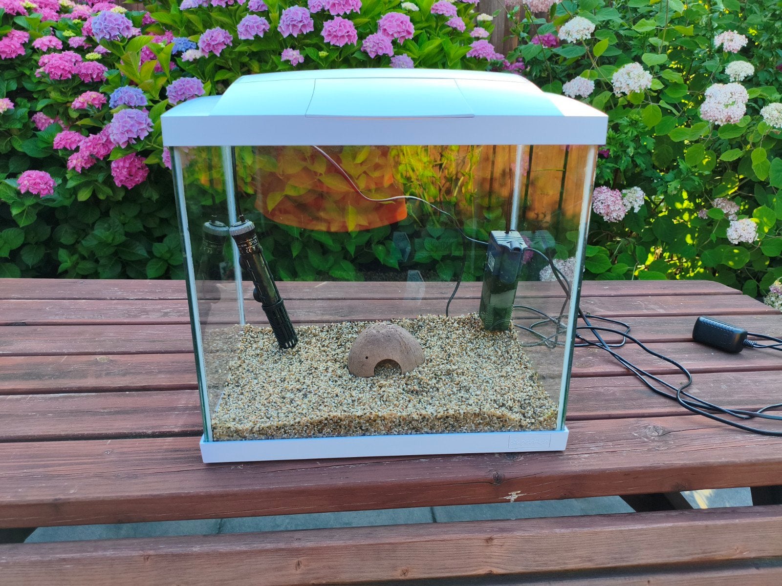 Superfish 50 compleet!, Ophalen, Gebruikt, Leeg aquarium, Superfish