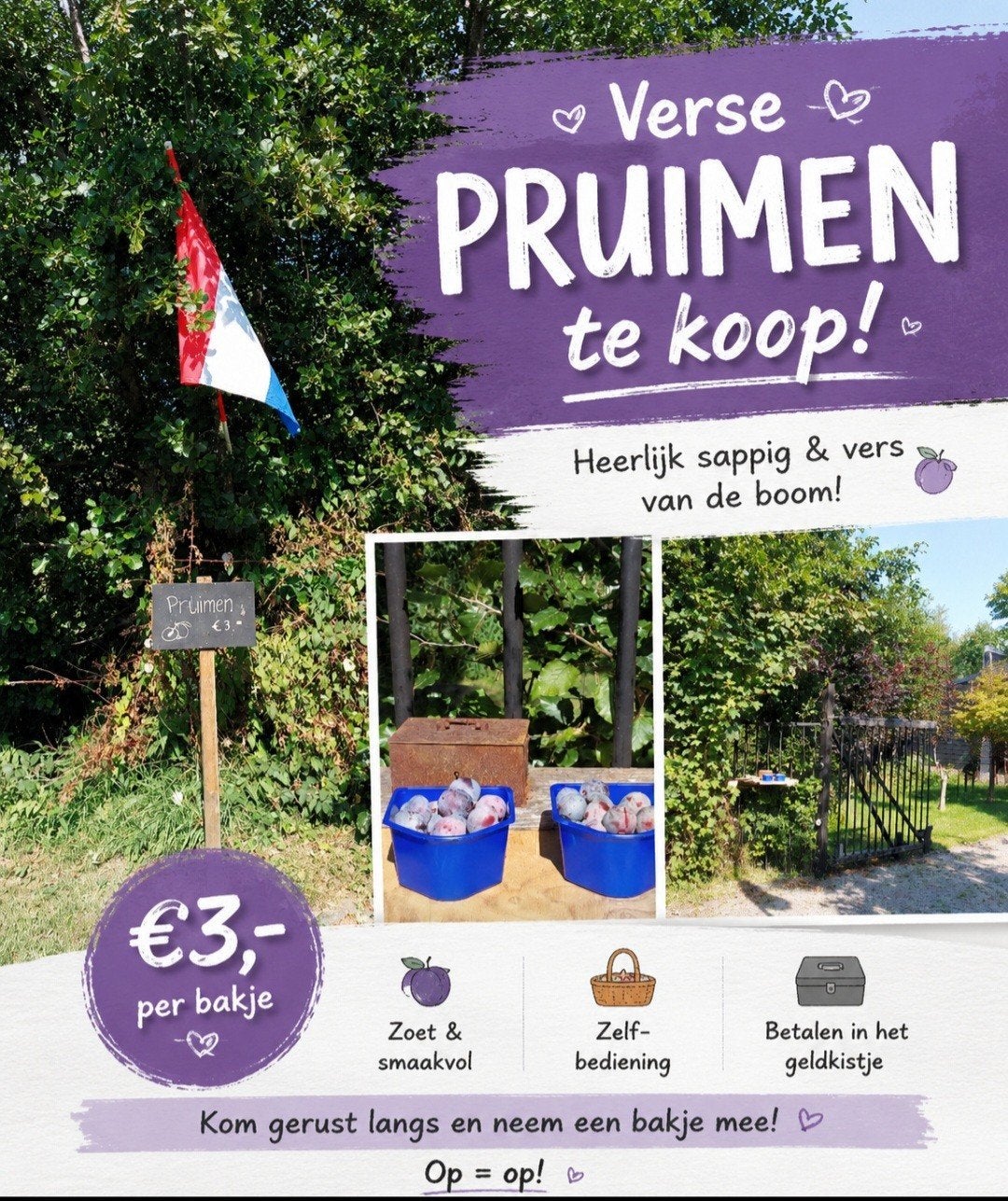 pruimen, Ophalen