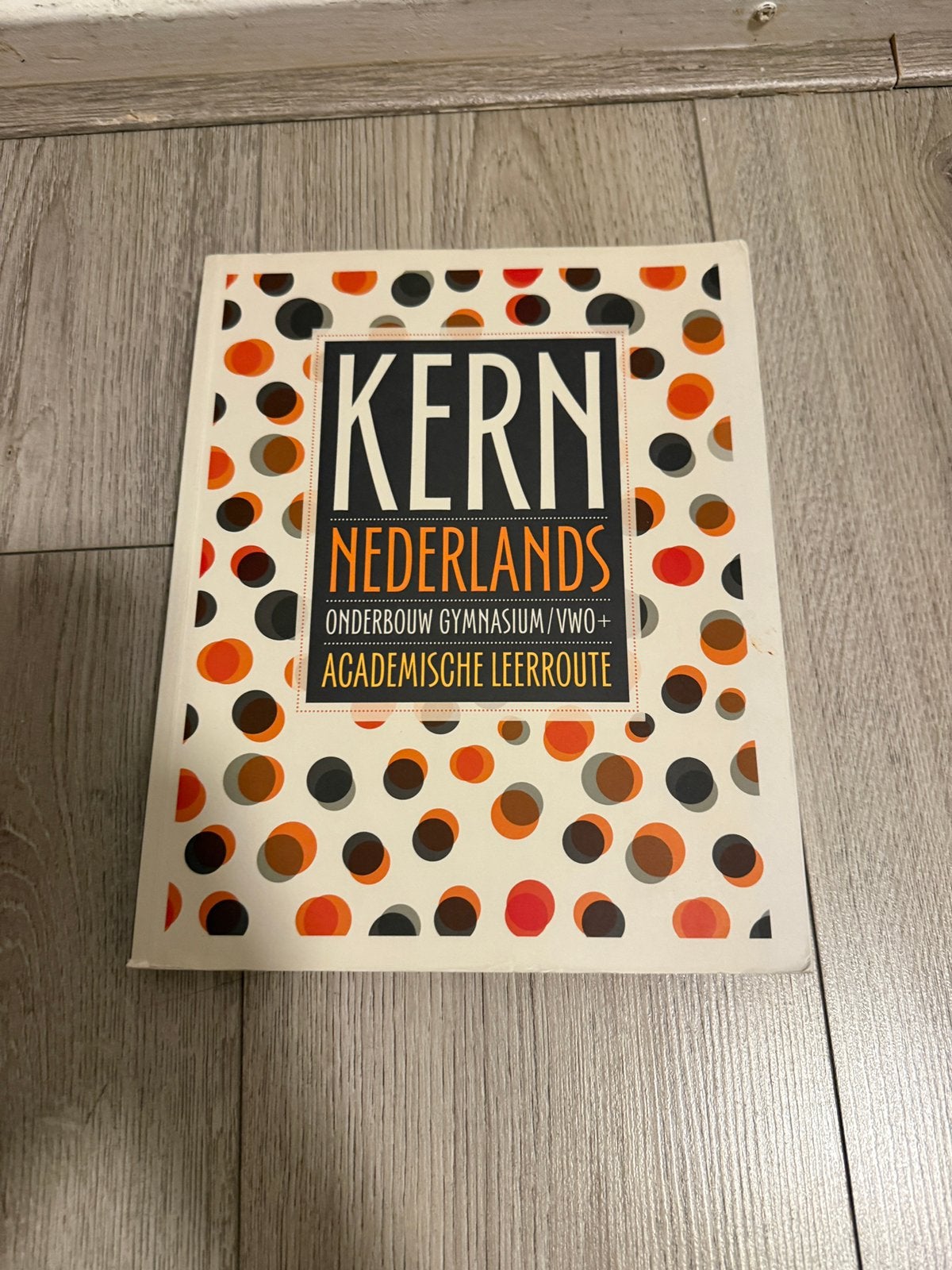 Kern nederlands boek, Ophalen of Verzenden, Zo goed als nieuw