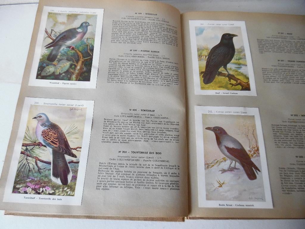Plaatjes plakalbum., Ophalen of Verzenden, Gebruikt, Meerdere plaatjes