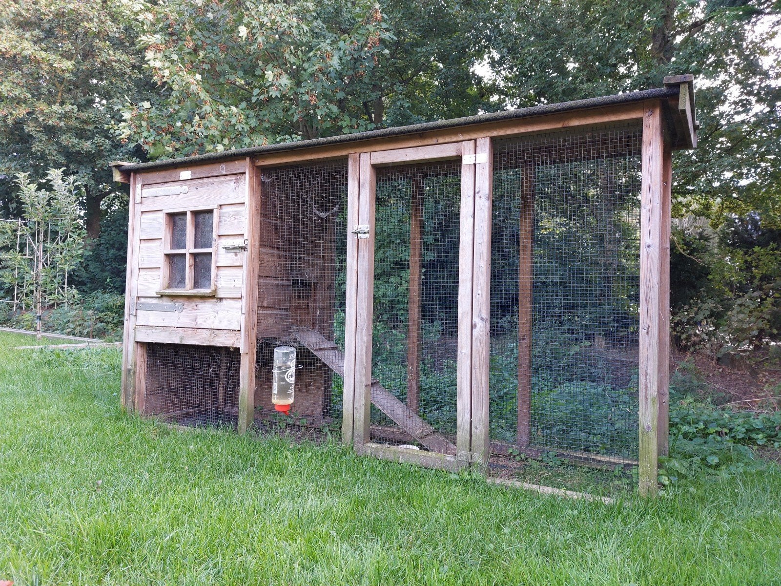 kippen/konijnenhok met ren, Ophalen, Zo goed als nieuw, Kippenhok of Kippenren