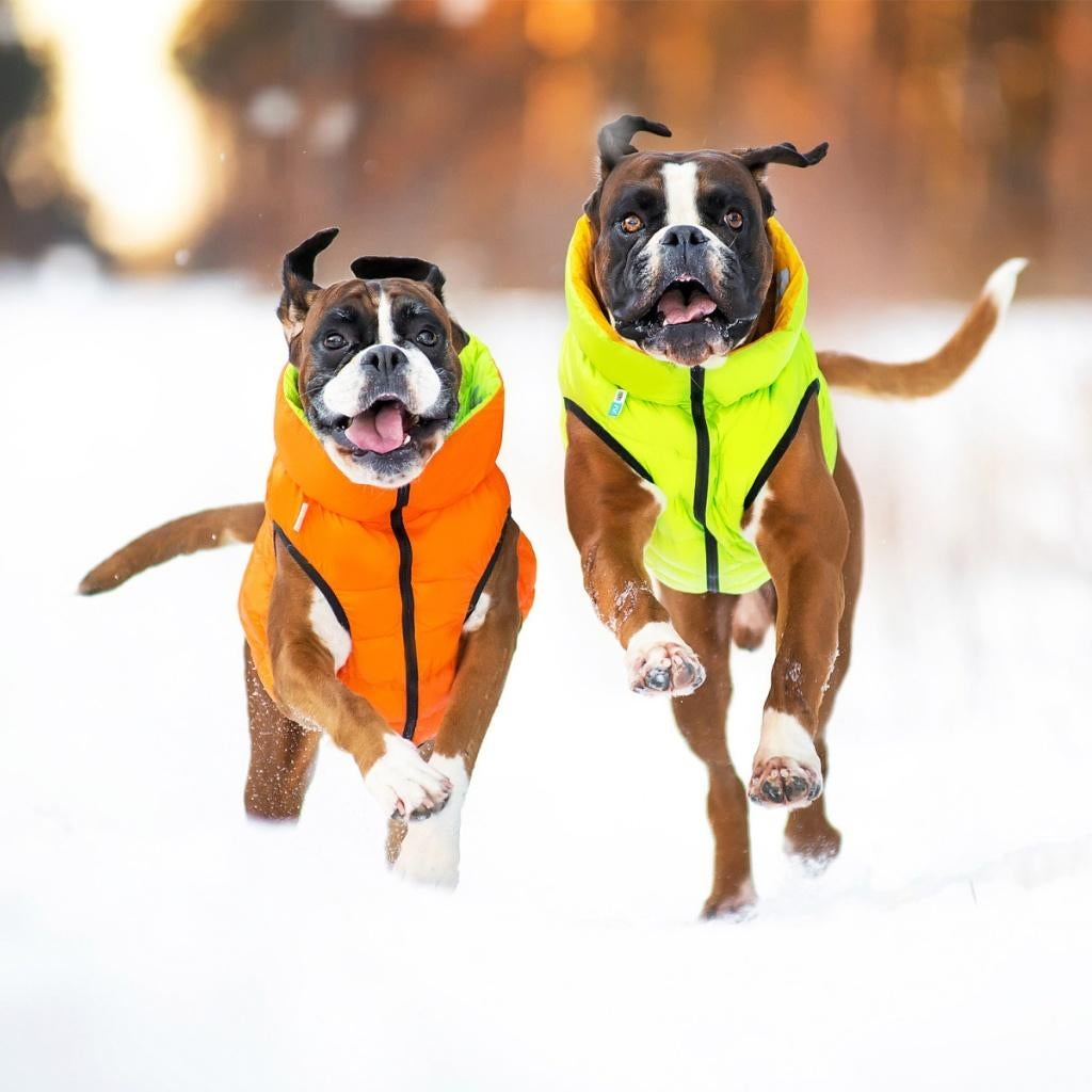 AiryVest Hondenjas Omkeerbaar M45 Orange-Lime -50% OFF!!!, Ophalen of Verzenden, Nieuw, Hondenjas