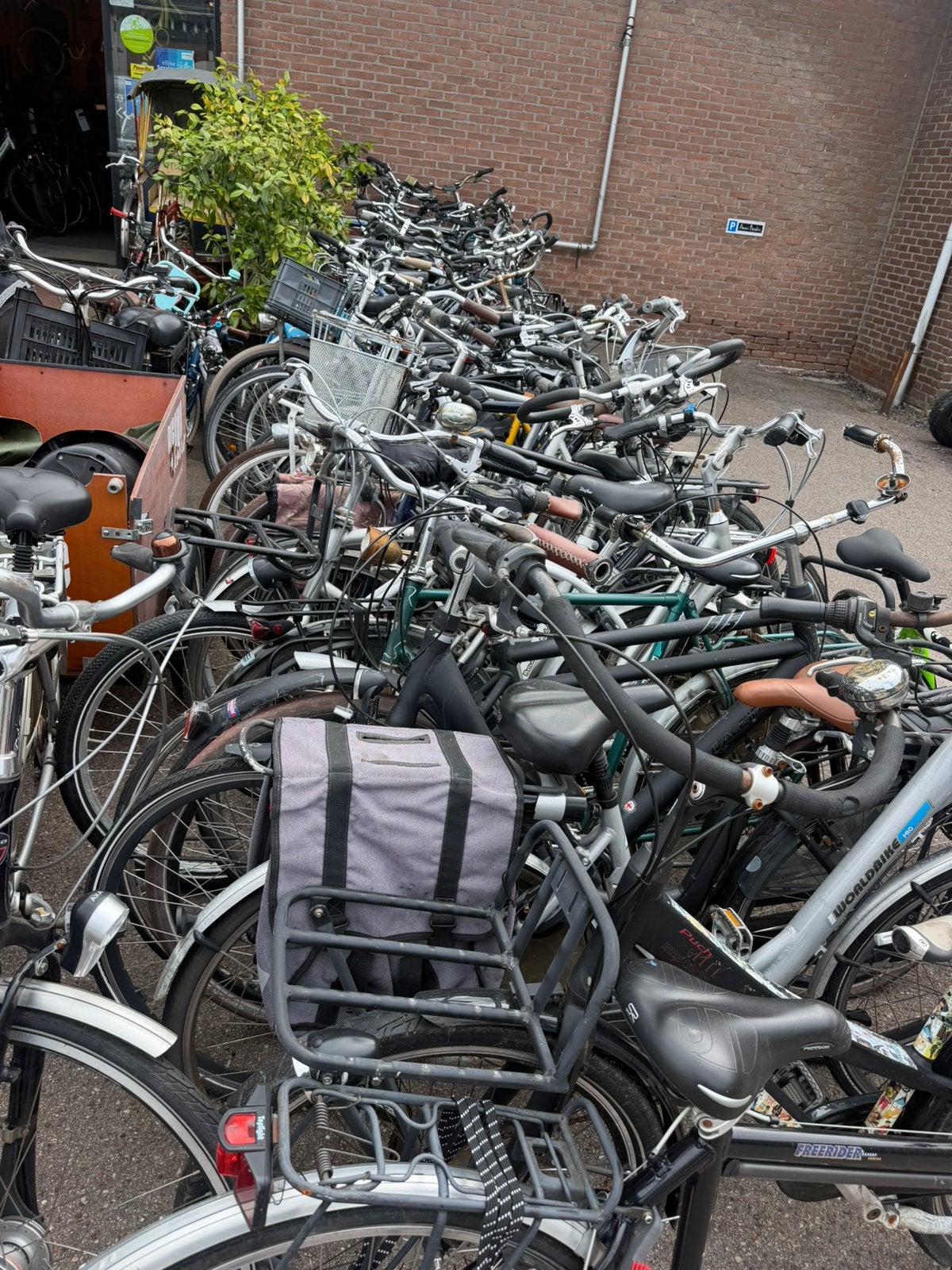 Partij gebruikte fietsen 150 stuks, Gebruikt, Gazelle, Batavus, Ophalen of Verzenden