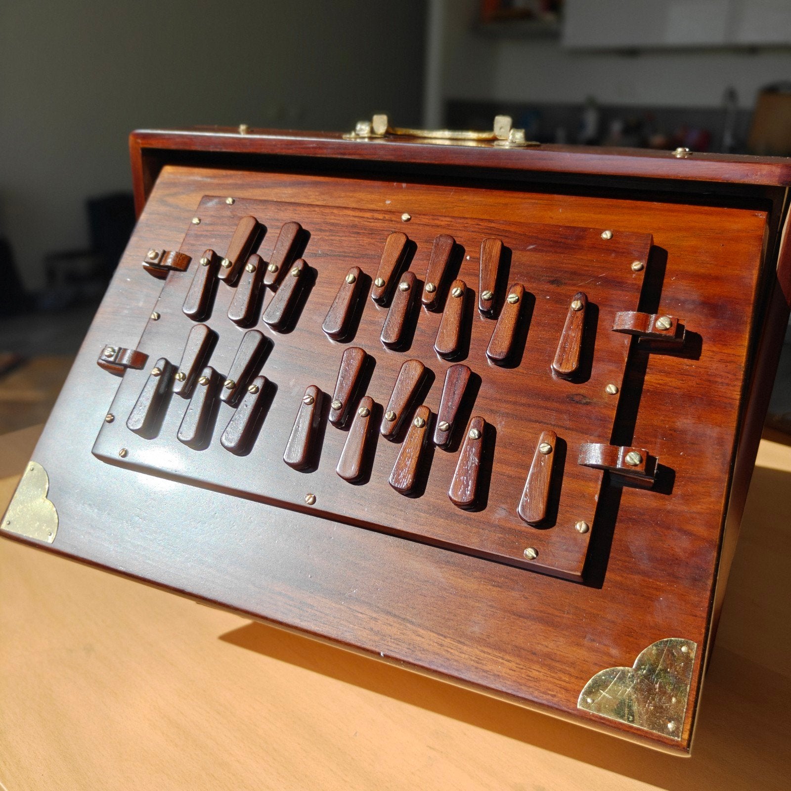 Nieuwe 2 Octaaf Shruti Box - Ons Fabrikant, Ophalen, Nieuw